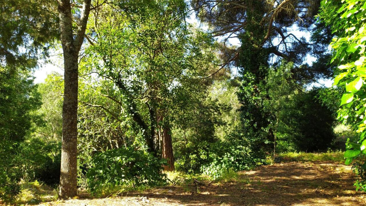 Casal Dos Zimbros Villa Corticos Dış mekan fotoğraf